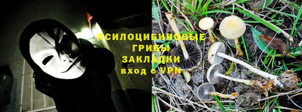 стафф Алексеевка