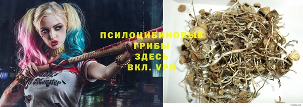 стафф Алексеевка