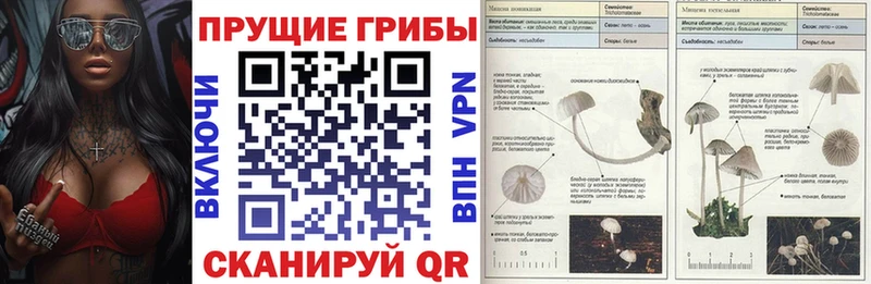 Галлюциногенные грибы Psilocybine cubensis  Жигулёвск 